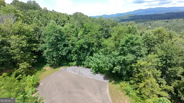 260 Running Bear Lane #14, Ellijay, GA 30536