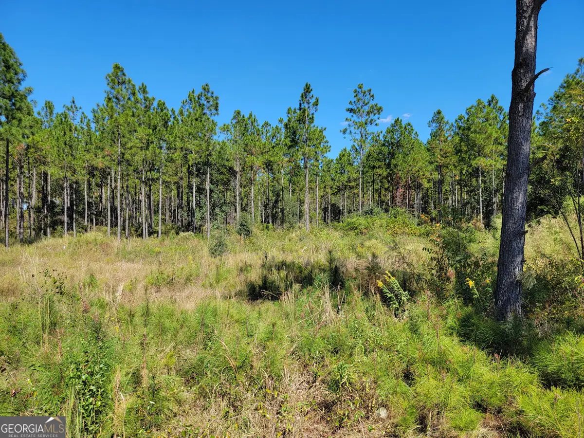 0 Tuton Road, Baconton, GA 31716 - Image #1