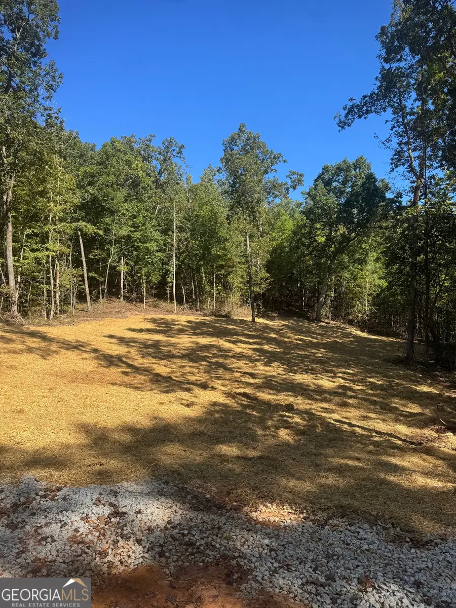 0 Hall, Franklin, GA 30217 - Image #2