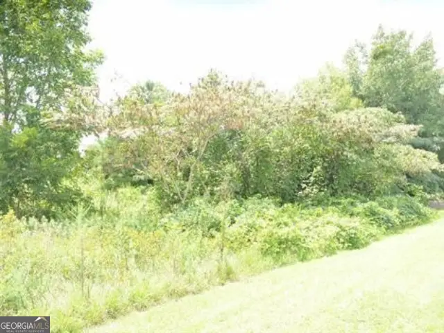 0 Gunn Road, Byron, GA 31008 - Image #2