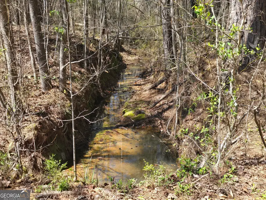 0 River Shoals Court, Covington, GA 30016 - Image #3