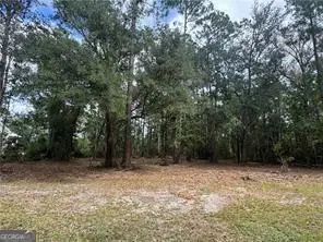 86 Marsh Creek Boulevard, Waverly, GA 31565 - Image #1