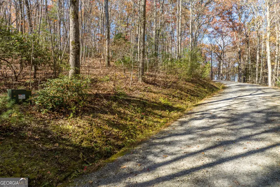 LOT 7 Joseph Anderson Trail, Ellijay, GA 30536 - Image #2