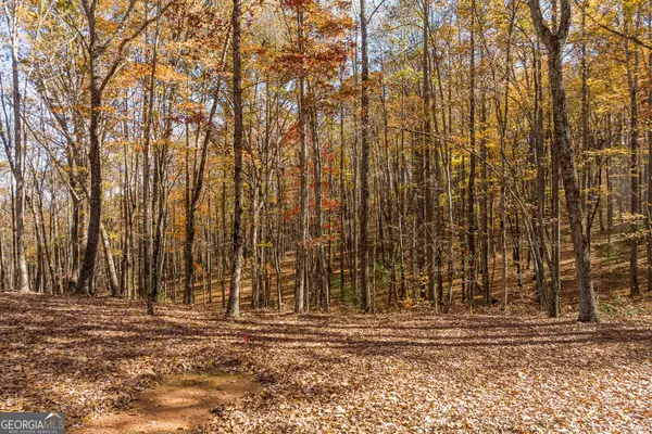 LT 17R Tanager Trail, Ellijay, GA 30536