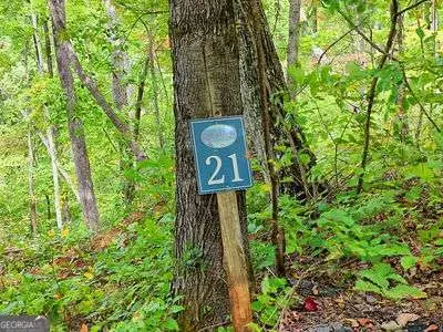 LOT 21 Skyview Overlook, Hayesville, NC 28904 - Image #1