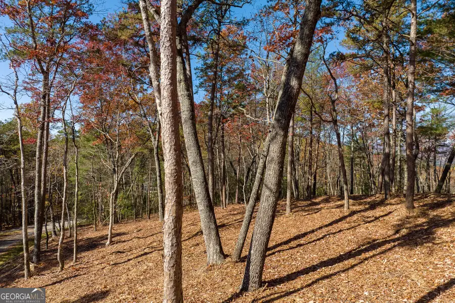 LOT 41 Preserve Trail, Ellijay, GA 30536 - Image #2