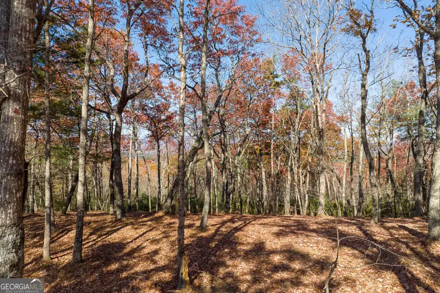 LOT 41 Preserve Trail, Ellijay, GA 30536 - Image #3