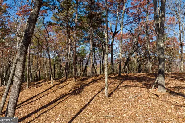 LOT 40 Preserve Trail, Ellijay, GA 30536