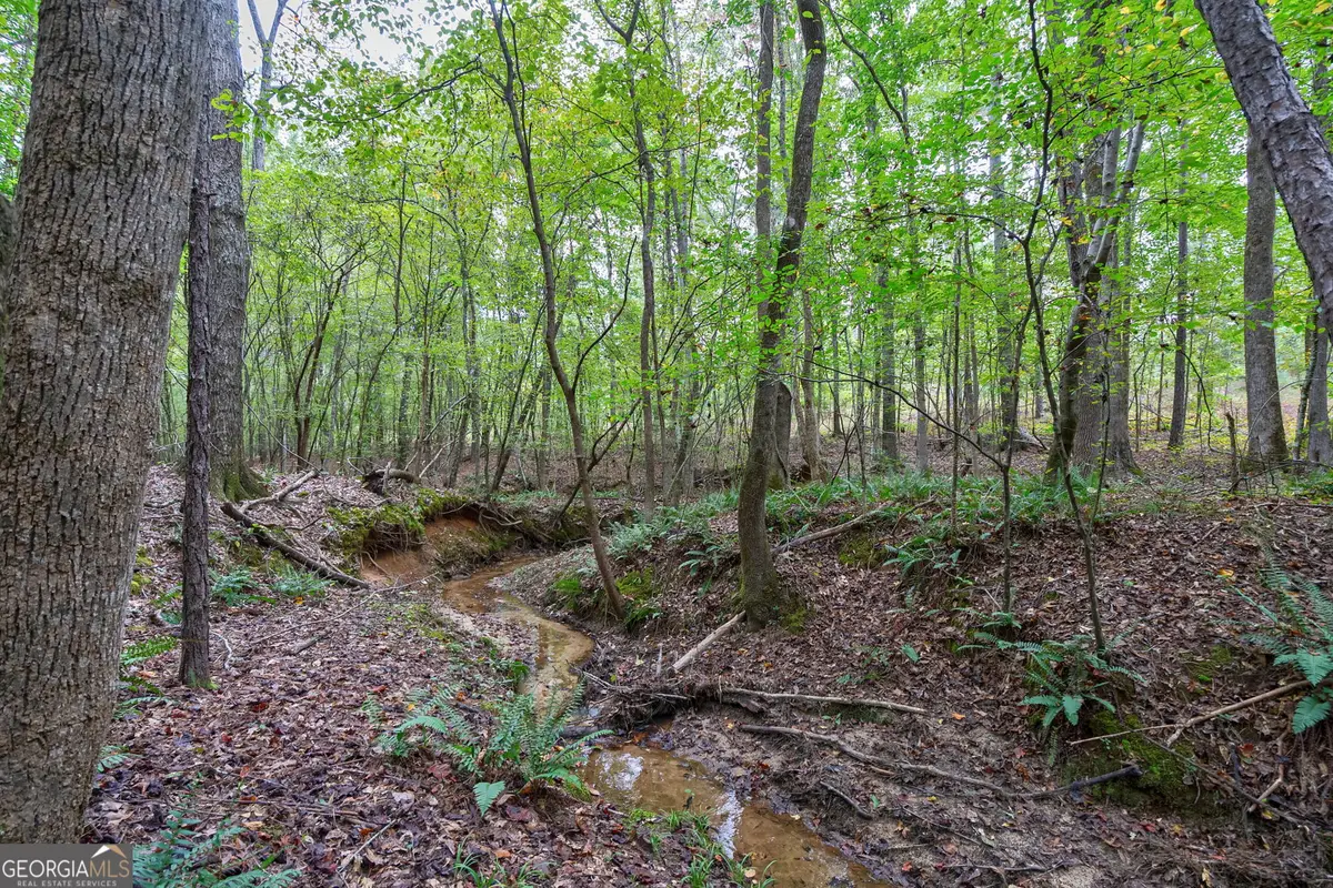 0 Lower Wirebridge Road, Stephens, GA 30667 - Image #1