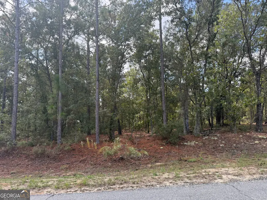 LOT 51 Ridge Loop, Blackshear, GA 31516 - Image #2