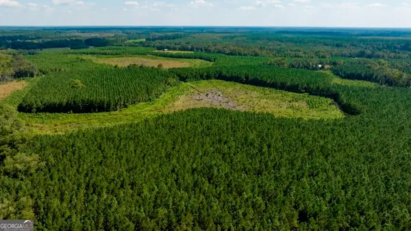 0 Hudson Ferry Rd. & Newington Highway, Newington, GA 30446