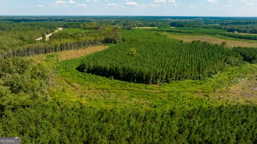 0 Hudson Ferry Rd. & Newington Highway, Newington, GA 30446 - Image #2