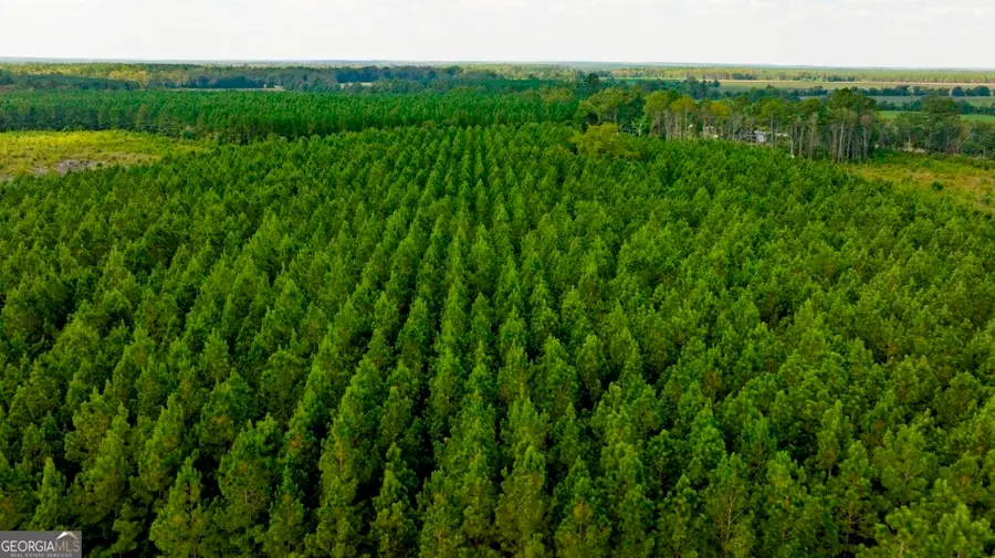 0 Hudson Ferry Rd. & Newington Highway, Newington, GA 30446 - Image #3