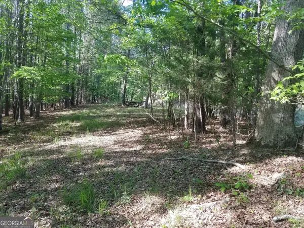 0 Browning Road, Rockmart, GA 30153