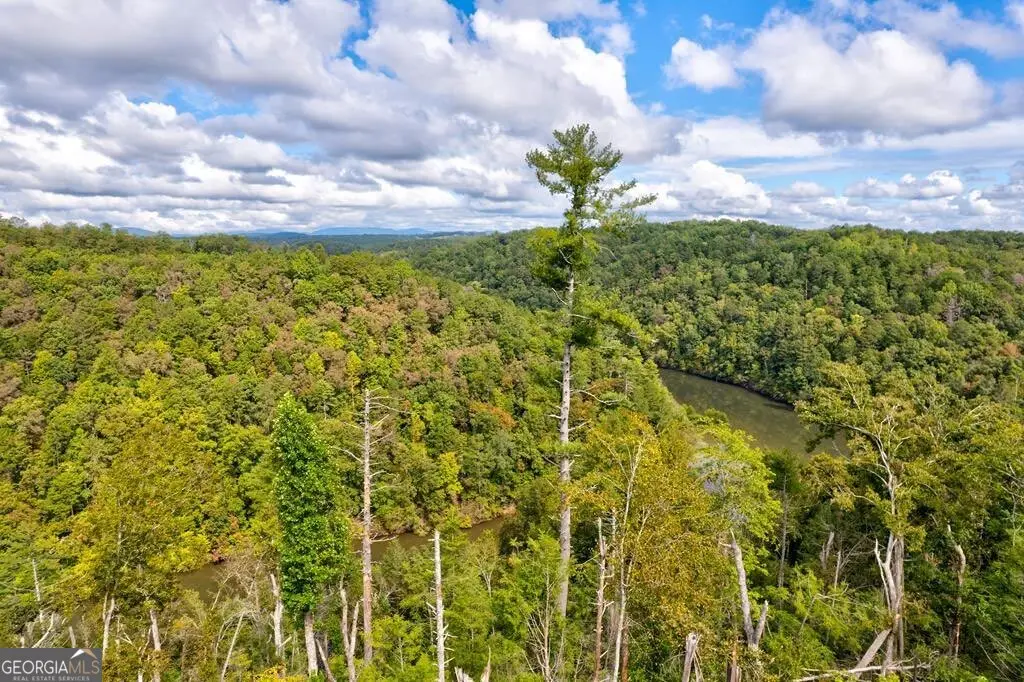 LT 931R Myna Drive, Ellijay, GA 30540 - Image #1