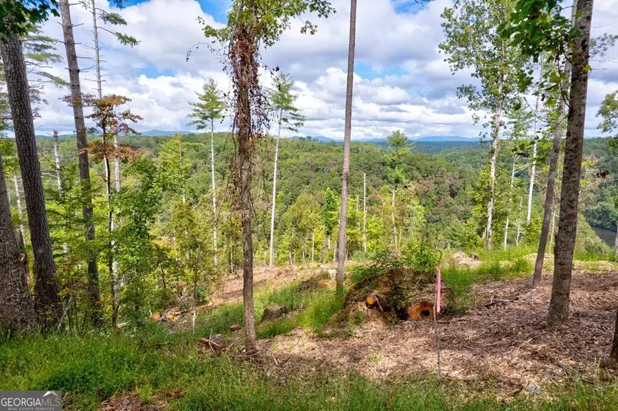 LT 931R Myna Drive, Ellijay, GA 30540 - Image #2
