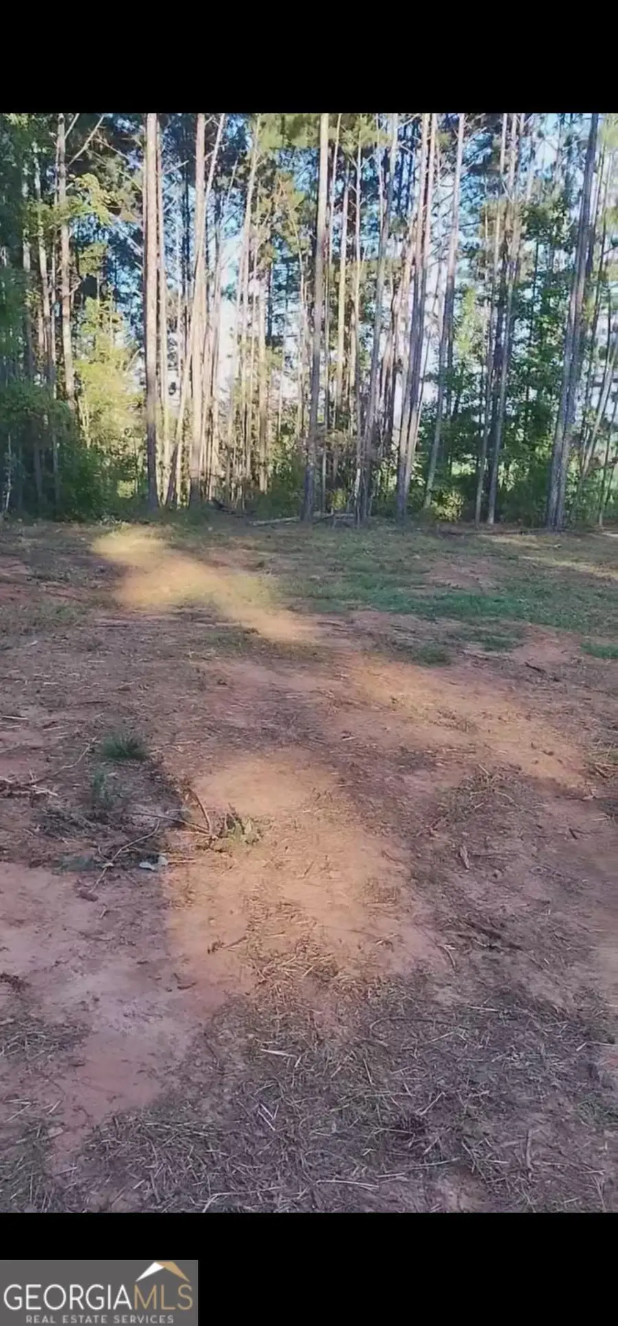 1538 Freeman Road, Forsyth, GA 31029 - Image #2