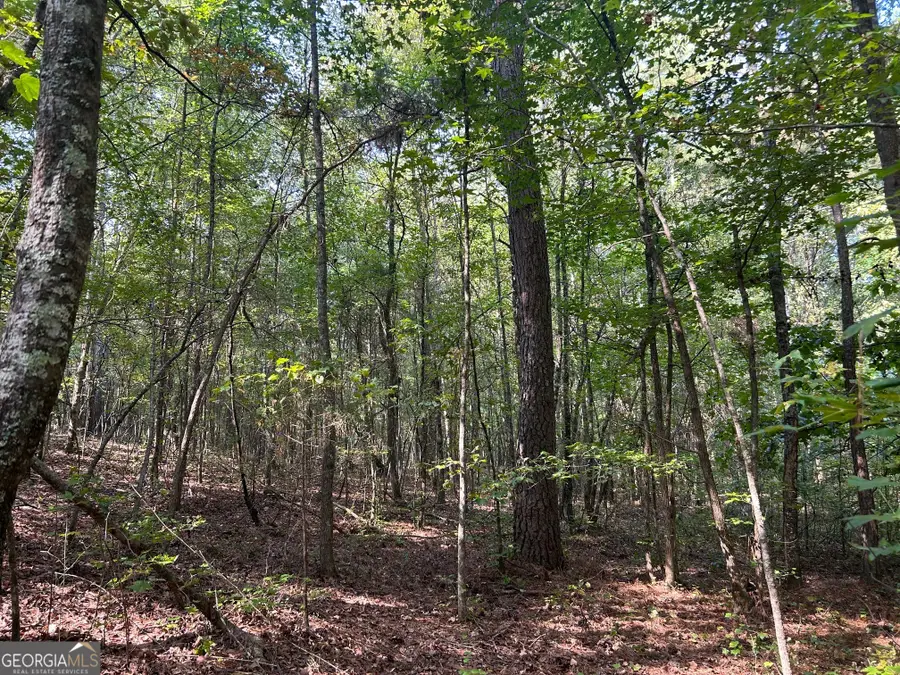 344 Powell Road, Rome, GA 30161 - Image #2