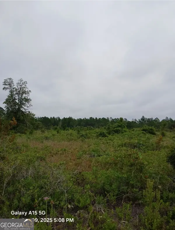 0 (LOT 4) Dogwood Lane #LOT 4, Folkston, GA 31537