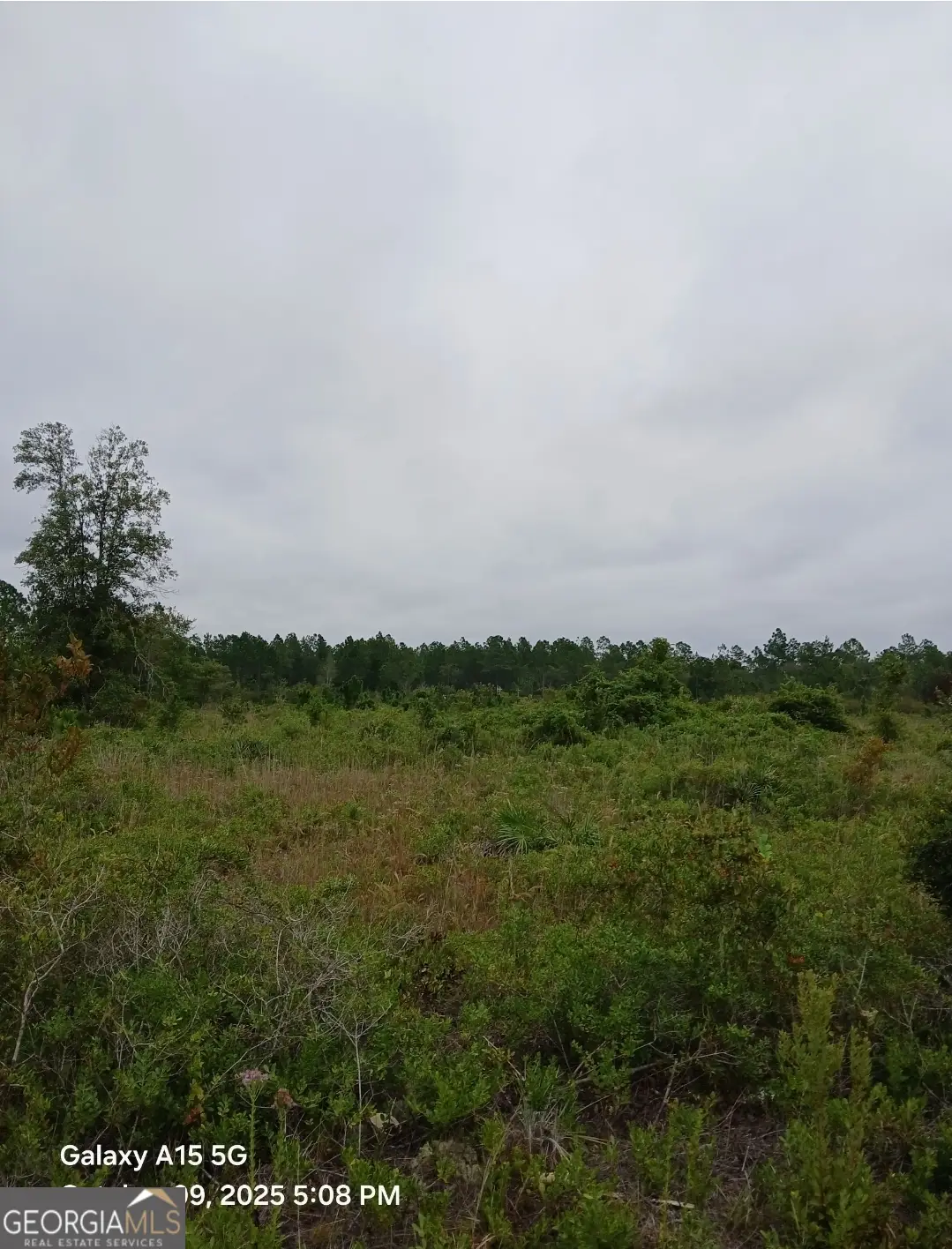0 (LOT 6) Dogwood Lane, Folkston, GA 31537 - Image #1