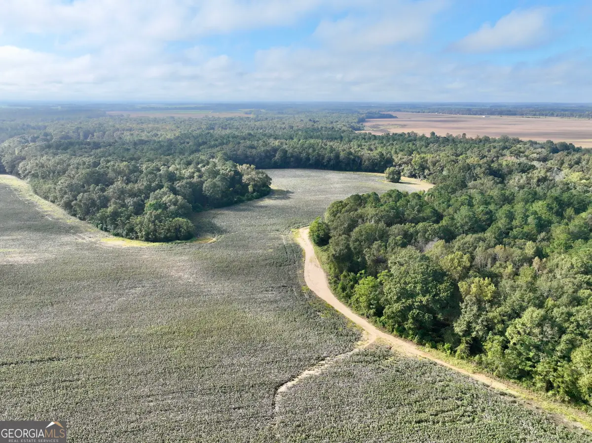 136 Pope Road, Pineview, GA 31071 - Image #1