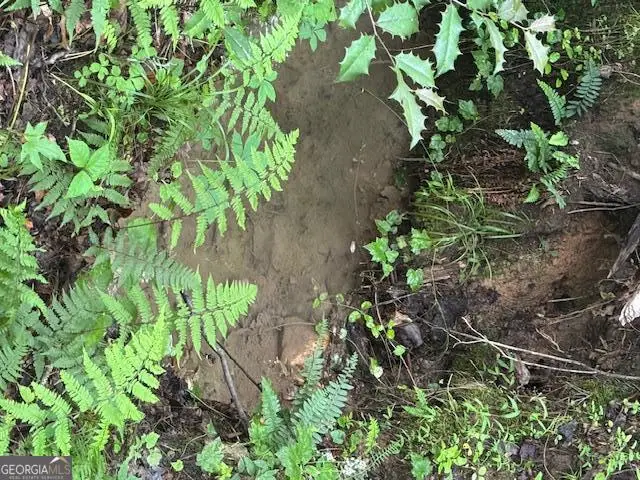 0 Gumlog Road, Young Harris, GA 30582 - Image #2