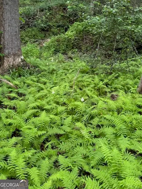 0 Gumlog Road, Young Harris, GA 30582 - Image #3