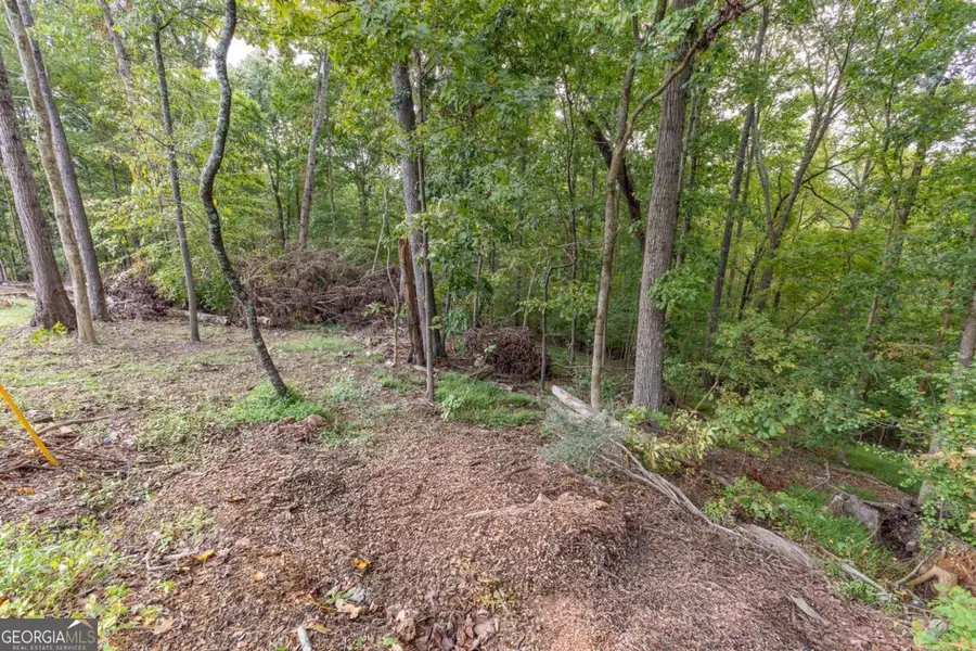 4301 Holiday Heights Drive, Oakwood, GA 30566 - Image #3