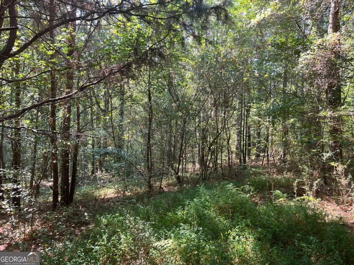 124 S Kelley Street, Tallapoosa, GA 30176 - Image #1