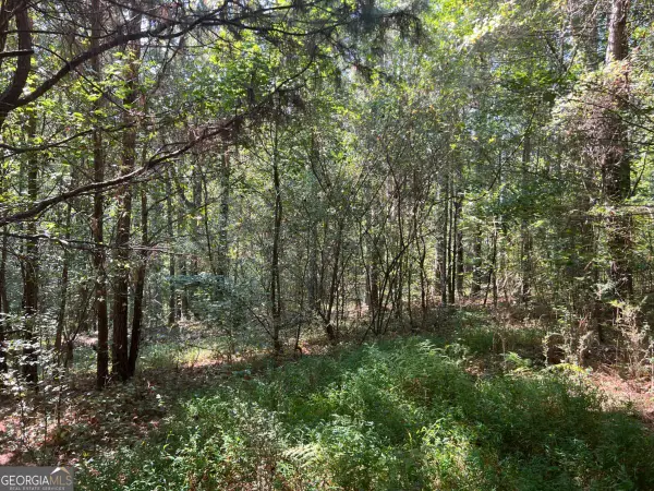 124 S Kelley Street, Tallapoosa, GA 30176