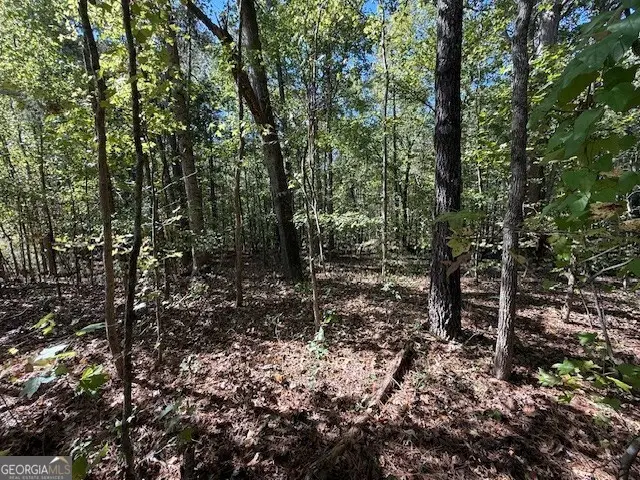 0 Cheryl Street #41, 42 & 43, Luthersville, GA 30251 - Image #3