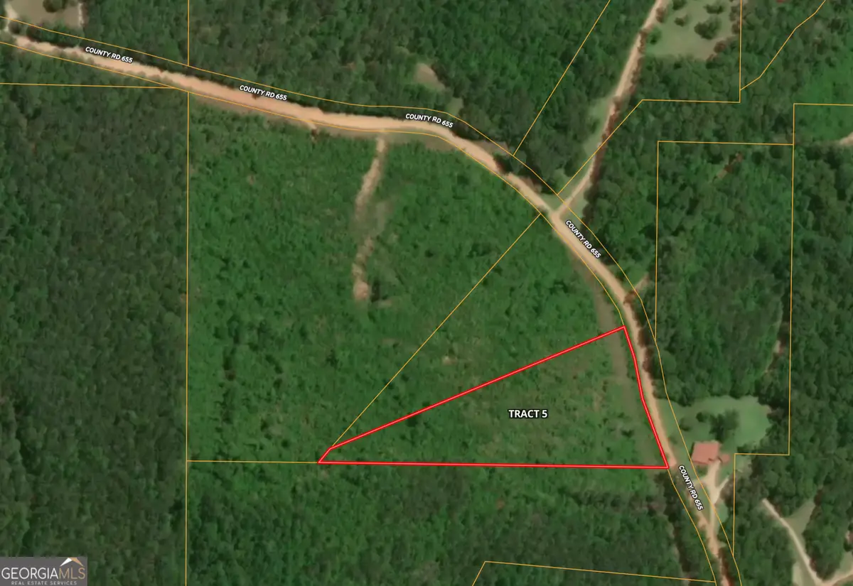 0 W County Road 655, Roanoke, AL 36274 - Image #1