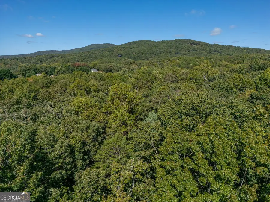 0 Plum Lane, Clarkesville, GA 30523 - Image #2