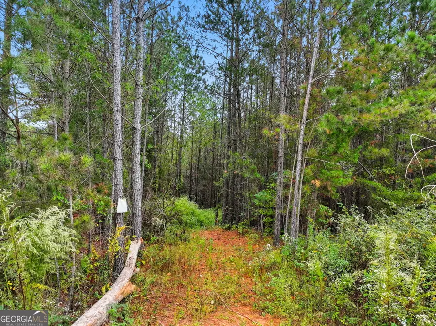 0 Old Pleasant Valley Road, Talking Rock, GA 30175 - Image #2