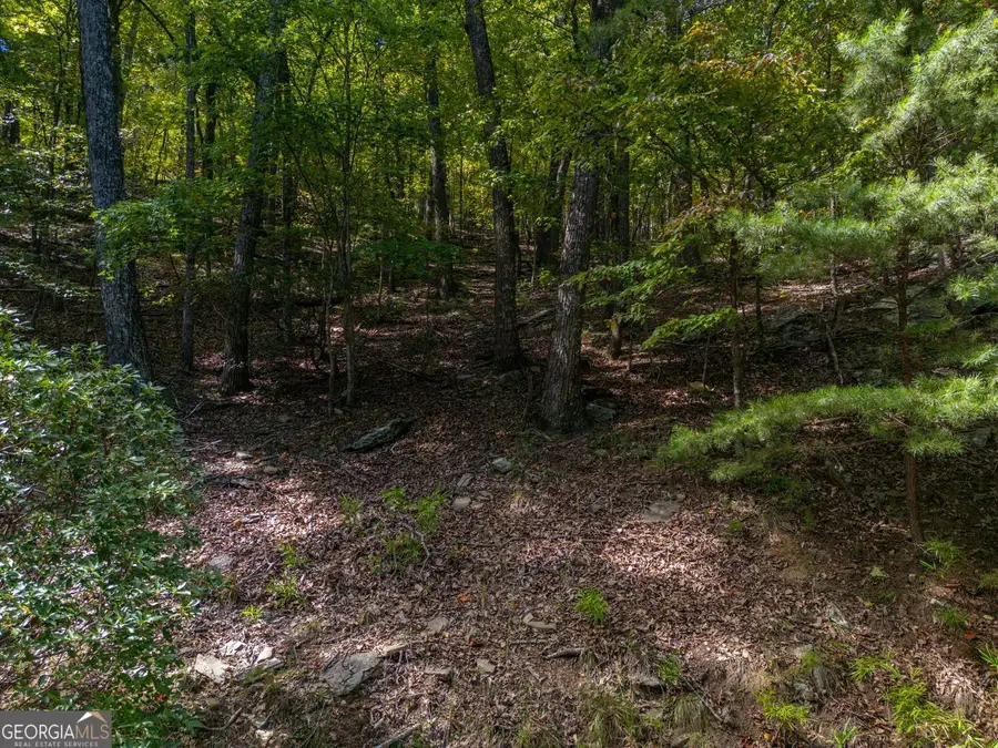 0 Little Hendricks Mountain Road, Jasper, GA 30143 - Image #2