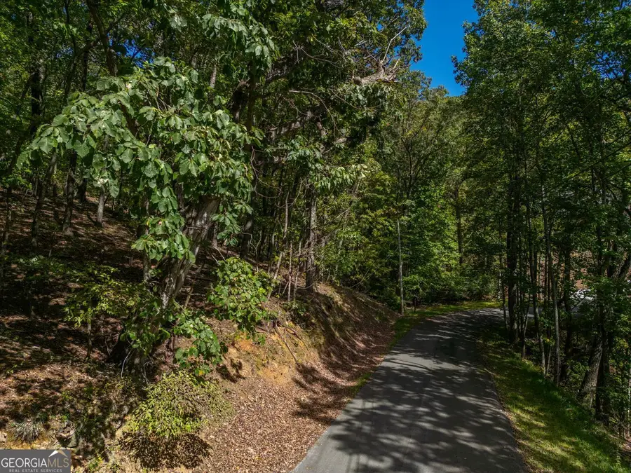 0 Denny Ridge Road, Jasper, GA 30143 - Image #3