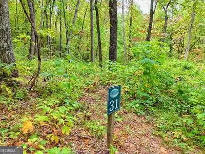 LOT 31 Skyview Drive, Hayesville, NC 28904 - Image #1