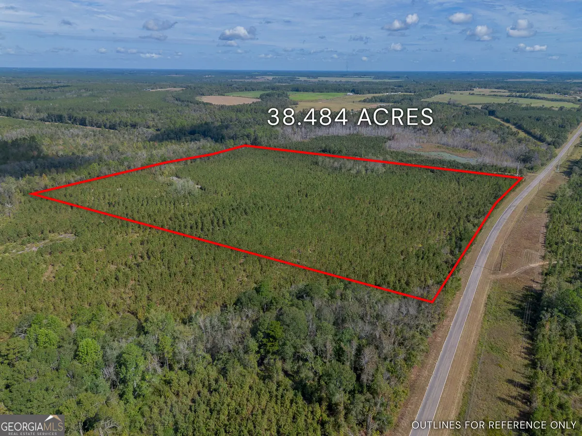 TRACT 2 Kinnett Road, Jacksonville, GA 31544 - Image #1