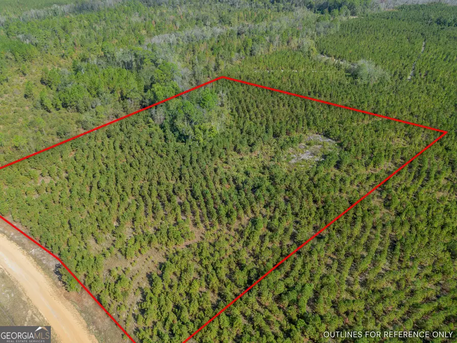 0 United Church Road, Jacksonville, GA 31544 - Image #3