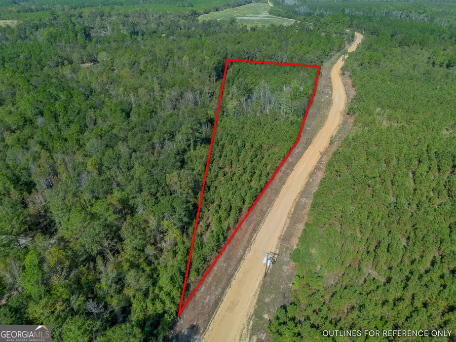 0 United Church Road, Jacksonville, GA 31544 - Image #2