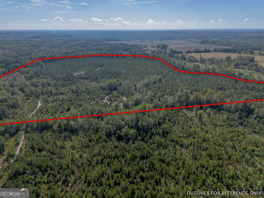 0 United Church Road, Jacksonville, GA 31544 - Image #3