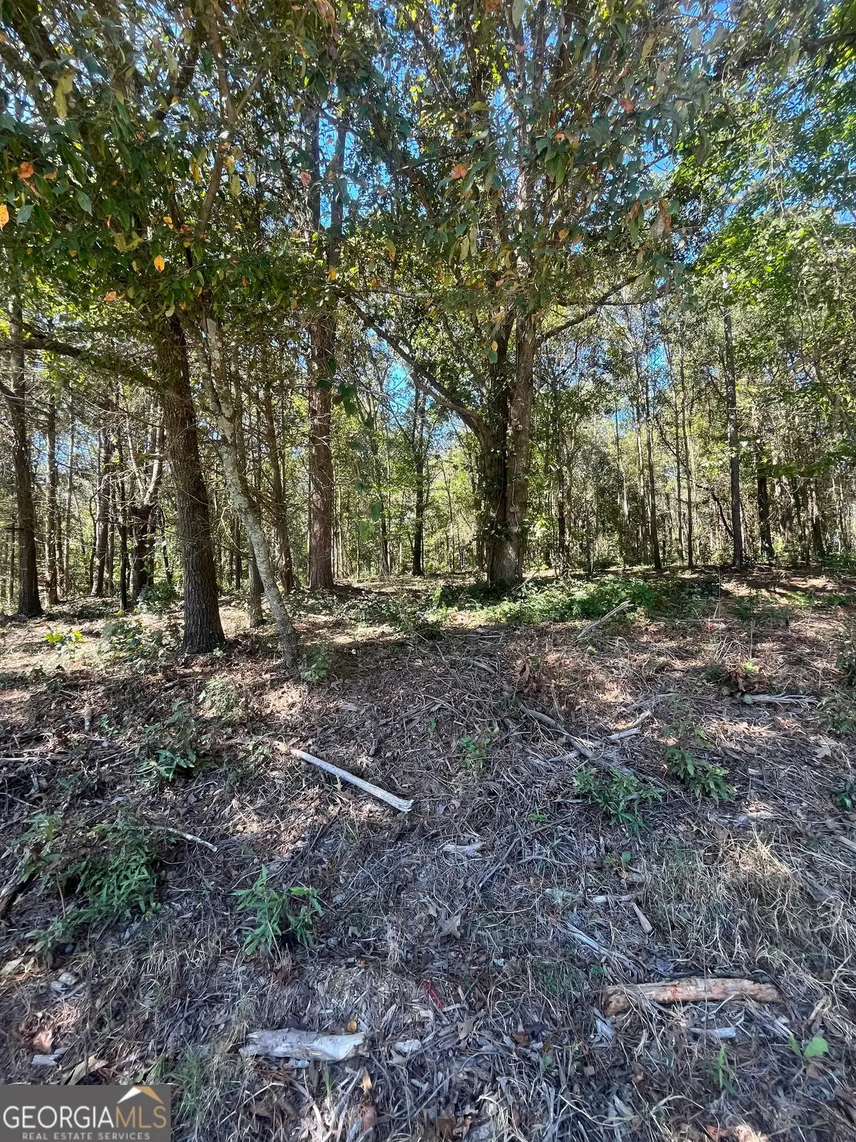 0 Fairview Farms Circle, Lavonia, GA 30553 - Image #1