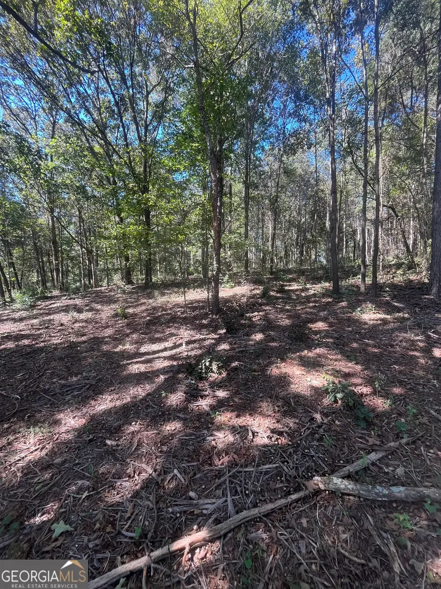 0 Fairview Farms Circle, Lavonia, GA 30553 - Image #2