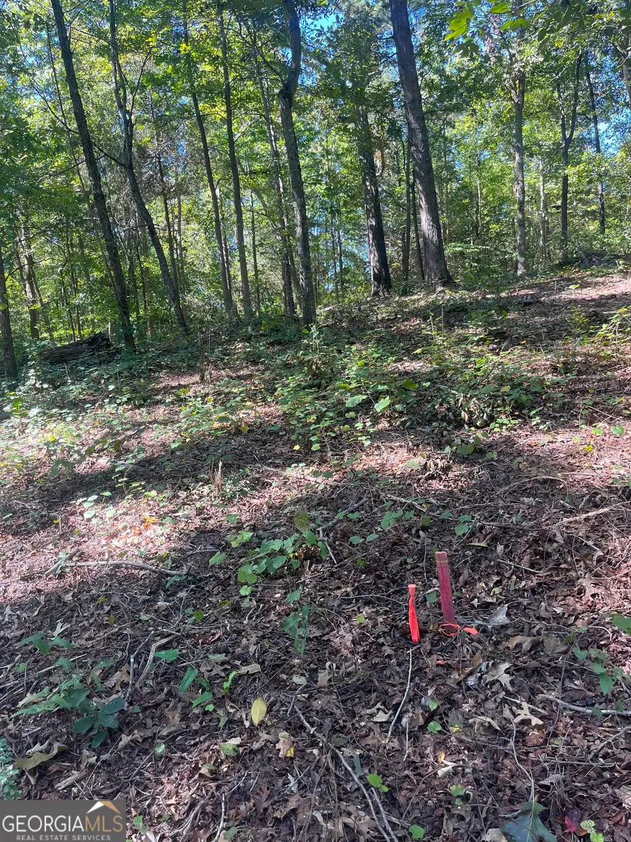 0 Fairview Farms Circle, Lavonia, GA 30553 - Image #3