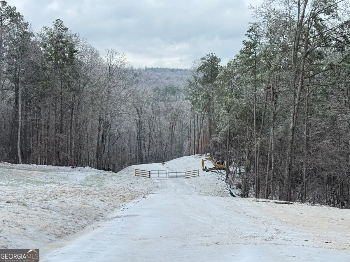 1632 Sperin Road, Ball Ground, GA 30107 - Image #1