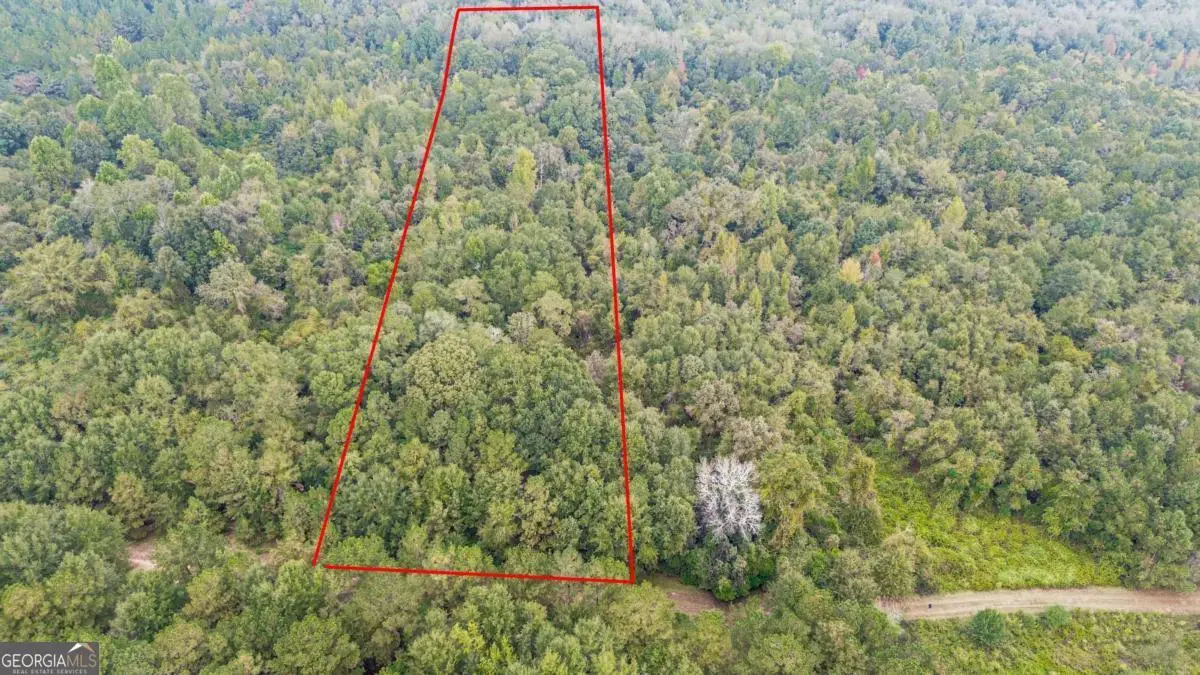 0 Willow Creek Drive, Oglethorpe, GA 31068 - Image #1