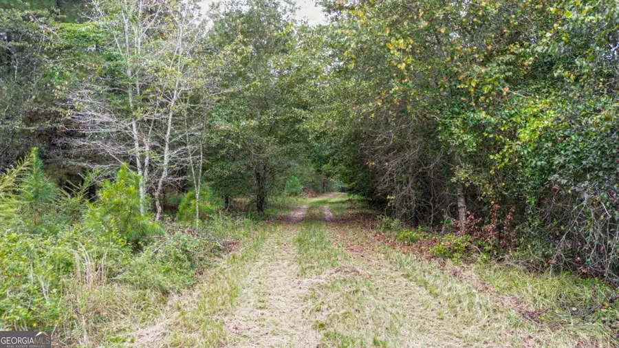 0 Willow Creek Drive, Oglethorpe, GA 31068 - Image #2