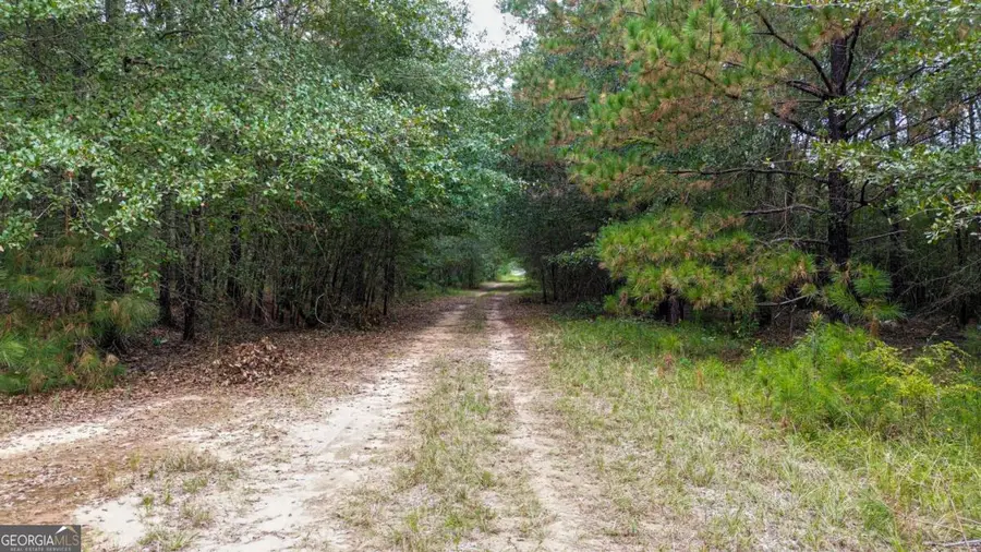 0 Willow Creek Drive, Oglethorpe, GA 31068 - Image #3