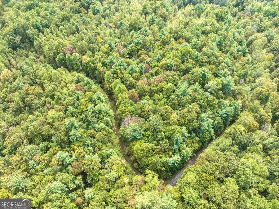 0 Hatley Creek Road, Ellijay, GA 30540 - #2