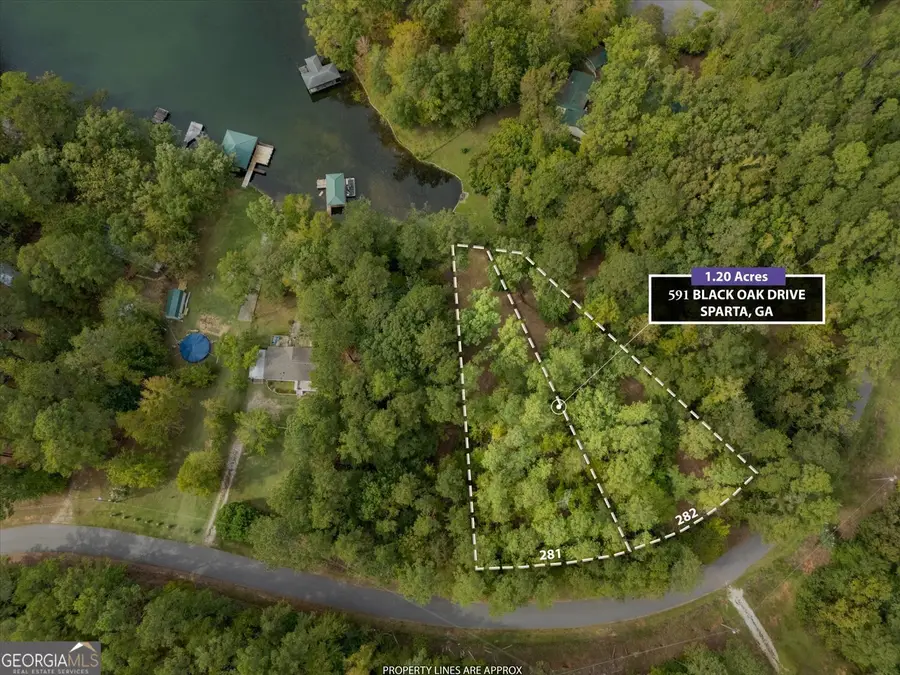 591 Black Oak Drive, Sparta, GA 31087 - Image #2